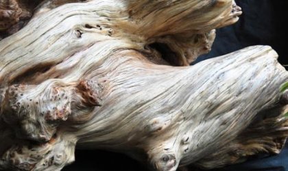 崖柏木有什么功效与作用是什么？