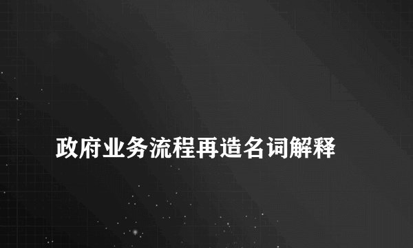 
政府业务流程再造名词解释

