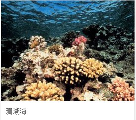 世界上最深的海有多深?