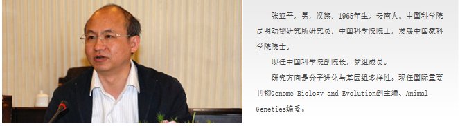 中科院副院长属于什么级别官职