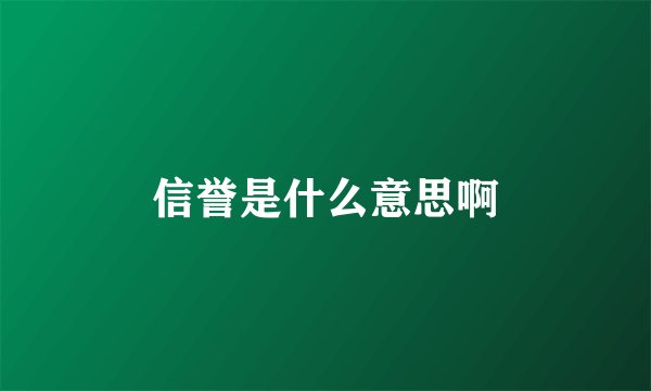 信誉是什么意思啊
