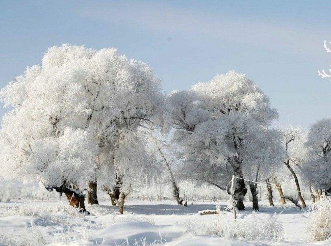 吉林雾凇是怎样形成的？
