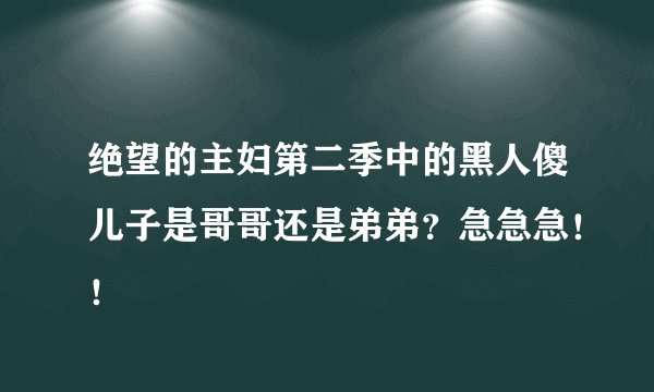 绝望的主妇第二季中的黑人傻儿子是哥哥还是弟弟？急急急！！