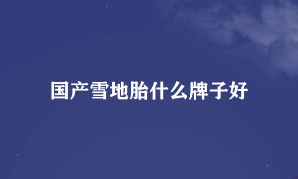 国产雪地胎什么牌子好