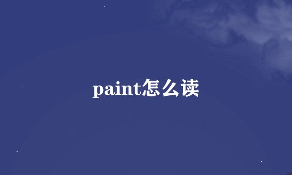 paint怎么读