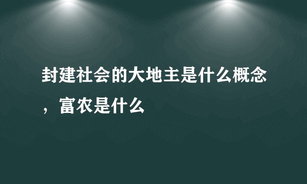 封建社会的大地主是什么概念，富农是什么