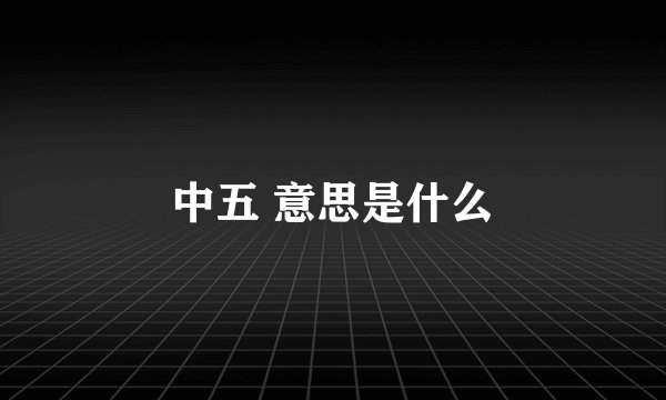 中五 意思是什么