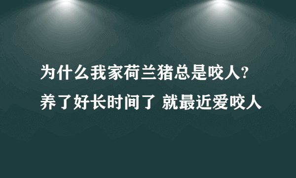 为什么我家荷兰猪总是咬人? 养了好长时间了 就最近爱咬人