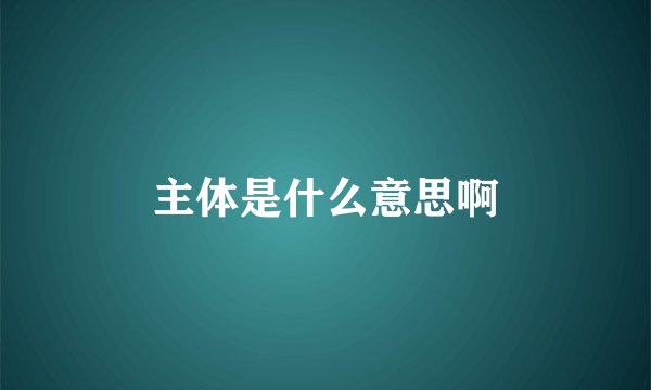 主体是什么意思啊