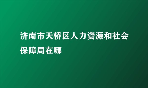 济南市天桥区人力资源和社会保障局在哪