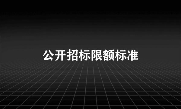 公开招标限额标准