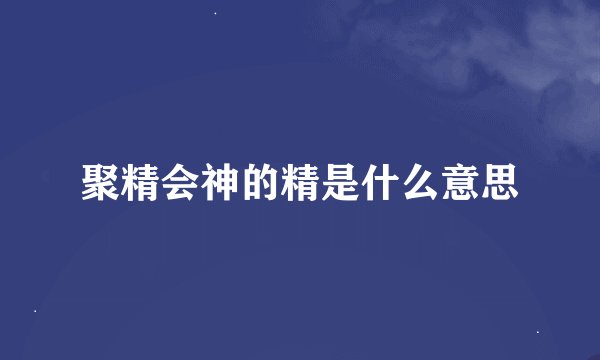 聚精会神的精是什么意思