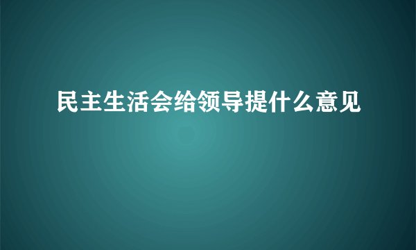 民主生活会给领导提什么意见