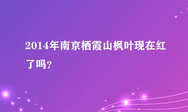 2014年南京栖霞山枫叶现在红了吗？