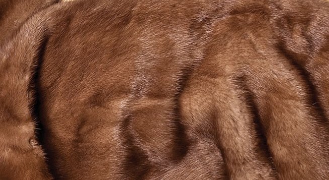 如何辨别真假狐狸毛