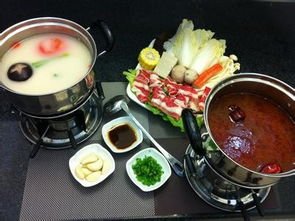 对《美食供应商》这种类型的小说有何看法?