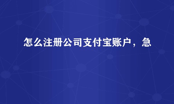 怎么注册公司支付宝账户，急