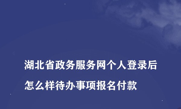 
湖北省政务服务网个人登录后怎么样待办事项报名付款

