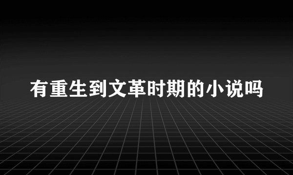 有重生到文革时期的小说吗