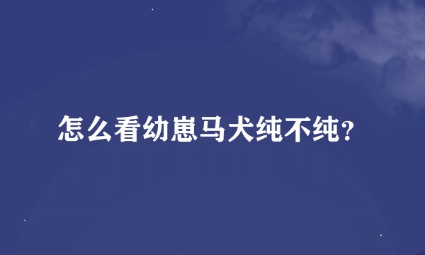 怎么看幼崽马犬纯不纯？