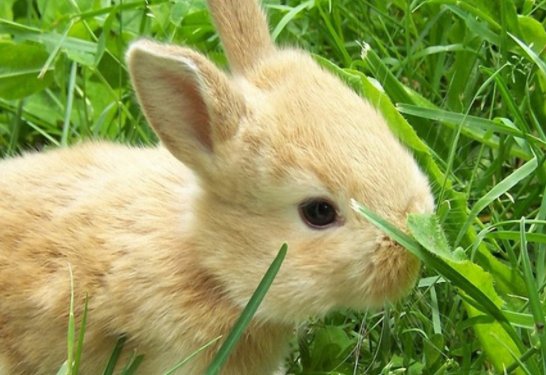 1975年属什么的？多大?