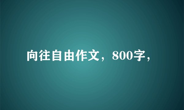 向往自由作文，800字，