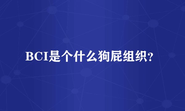 BCI是个什么狗屁组织？