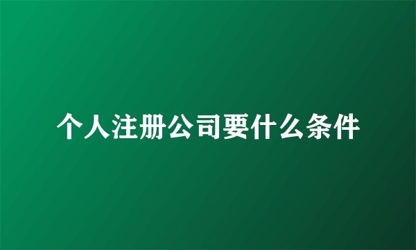 个人注册公司要什么条件