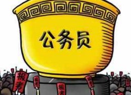 简答题：中国公务员制度的特点