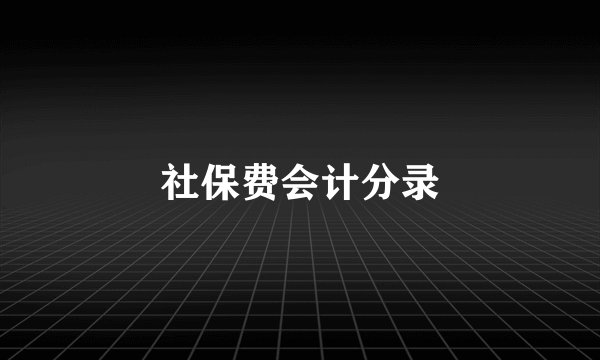 社保费会计分录