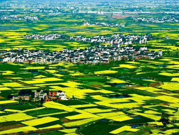 江苏高淳有哪些旅游景点