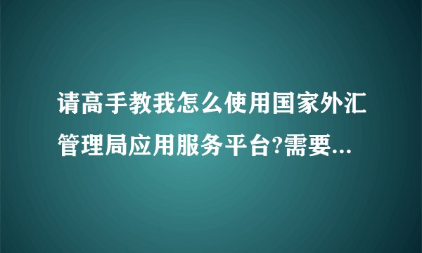 请高手教我怎么使用国家外汇管理局应用服务平台?需要操作的有几个方面，具体怎么操作...