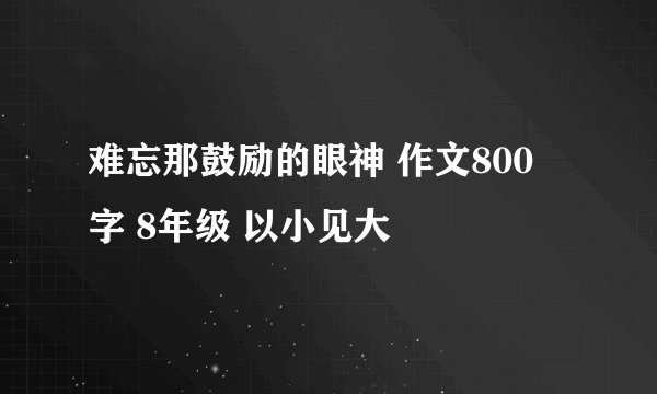 难忘那鼓励的眼神 作文800 字 8年级 以小见大