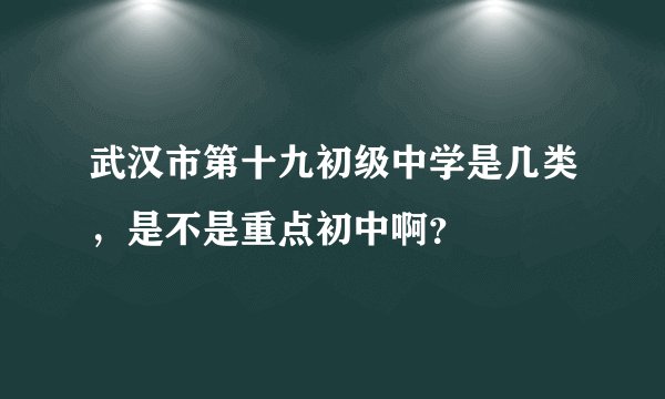 武汉市第十九初级中学是几类，是不是重点初中啊？