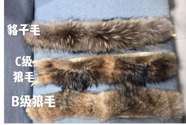 加拿大鹅狼毛领和貉毛领区别是什么？