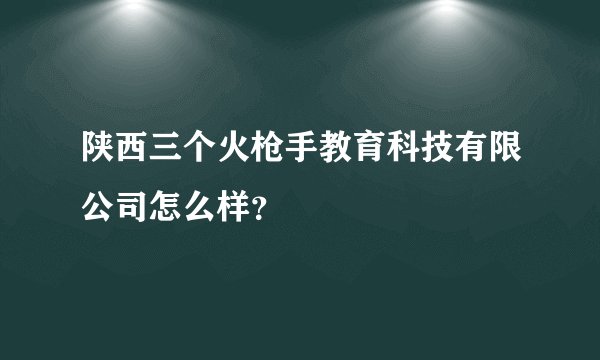 陕西三个火枪手教育科技有限公司怎么样?