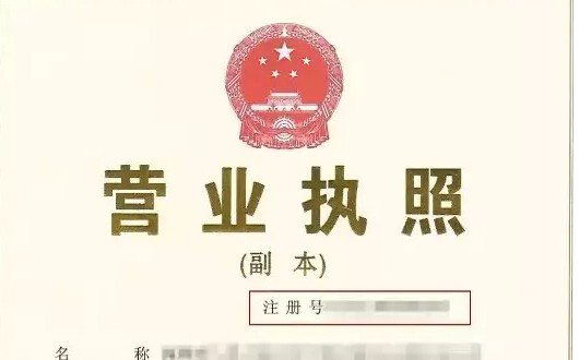 营业执照号和营业执照注册号是一样的吗