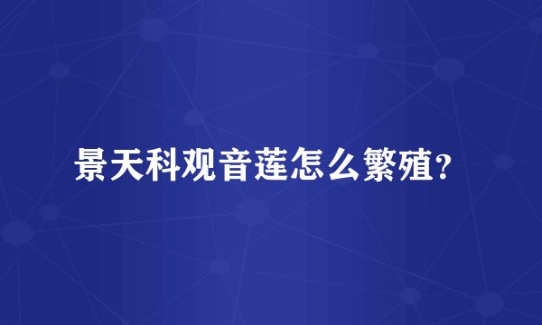 景天科观音莲怎么繁殖？
