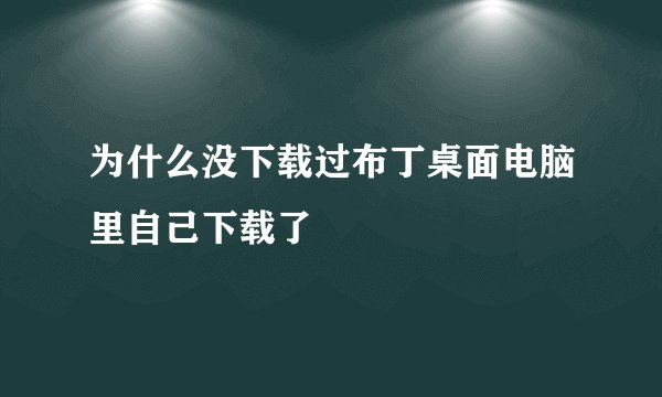 为什么没下载过布丁桌面电脑里自己下载了