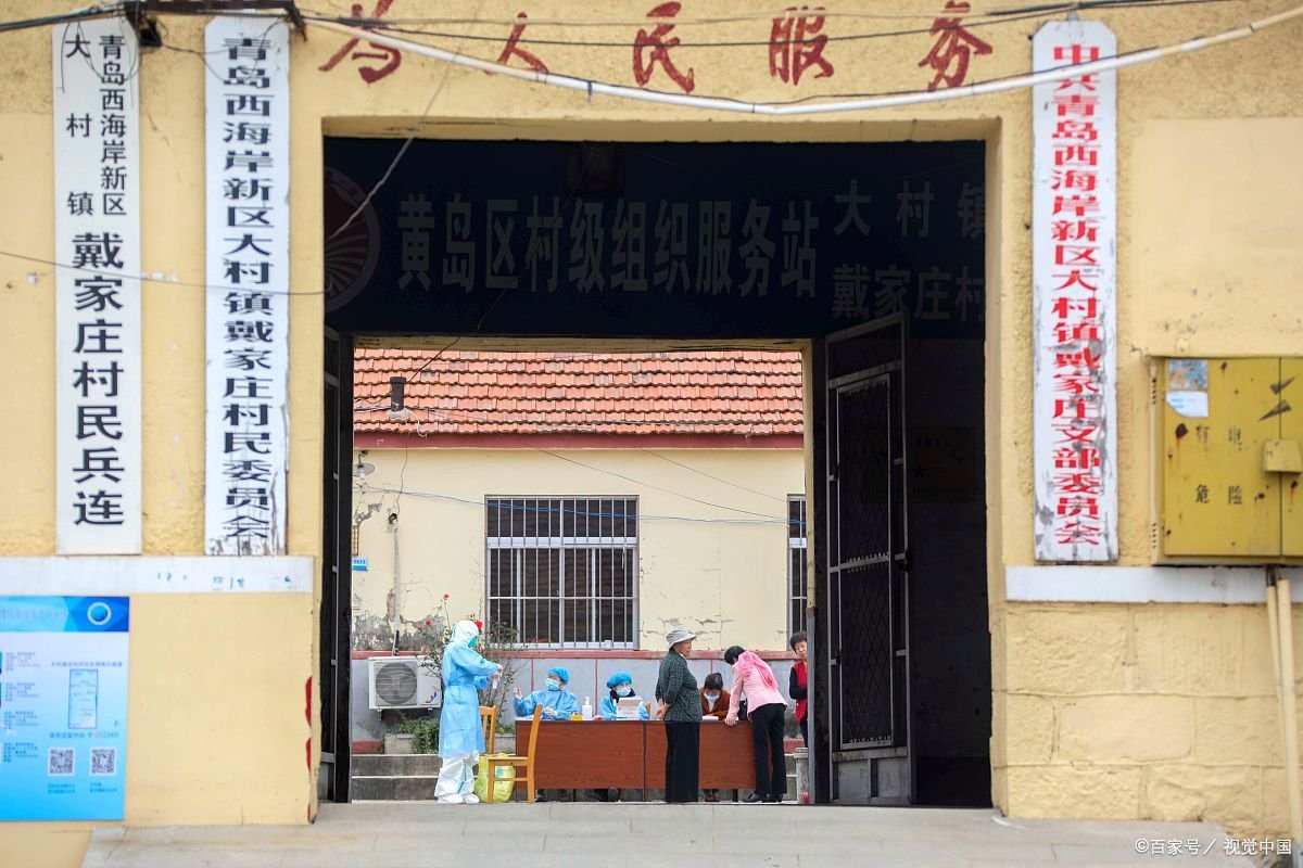 农村村支两委，有什么组成？共有多少人？