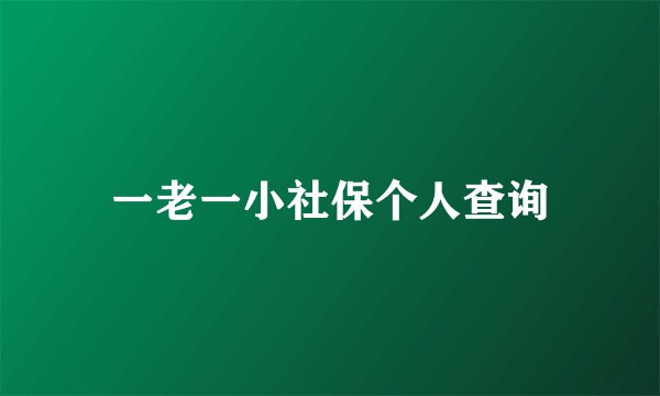 一老一小社保个人查询