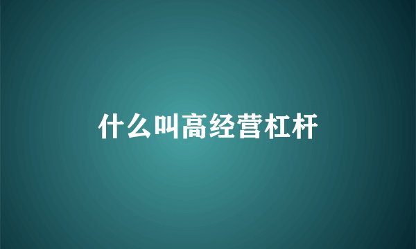 什么叫高经营杠杆