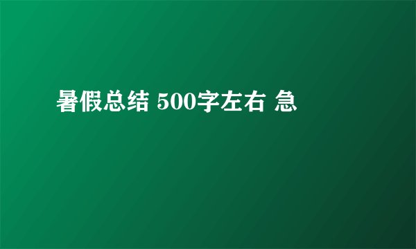 暑假总结 500字左右 急