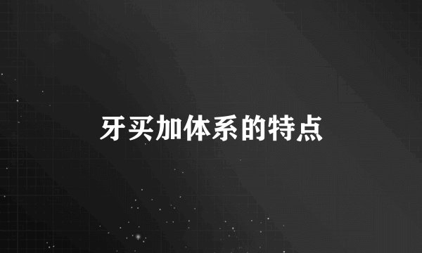 牙买加体系的特点