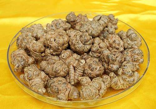 植物三七共有几种