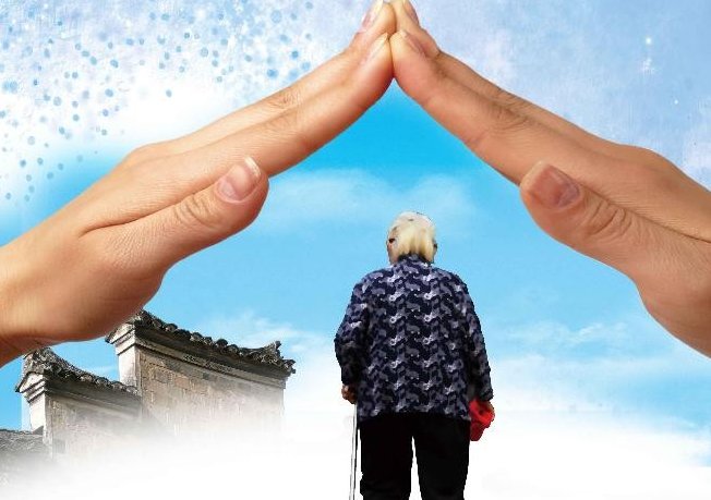 在哪里查询养老保险个人编号