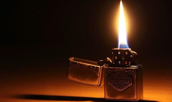 如何辨别真假狐狸毛