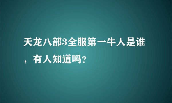 天龙八部3全服第一牛人是谁，有人知道吗？