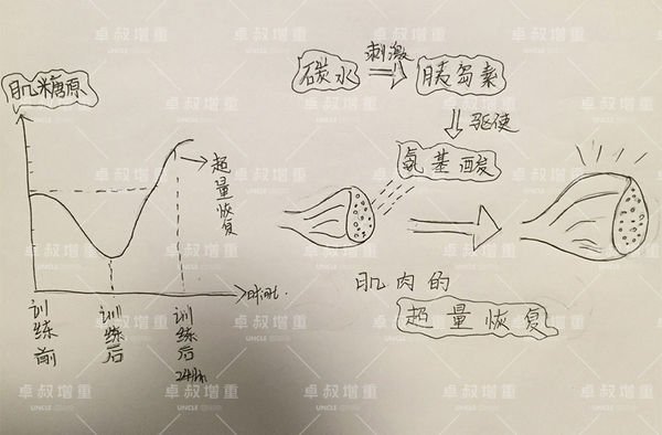 最科学有效的增肌健身计划，要详细的