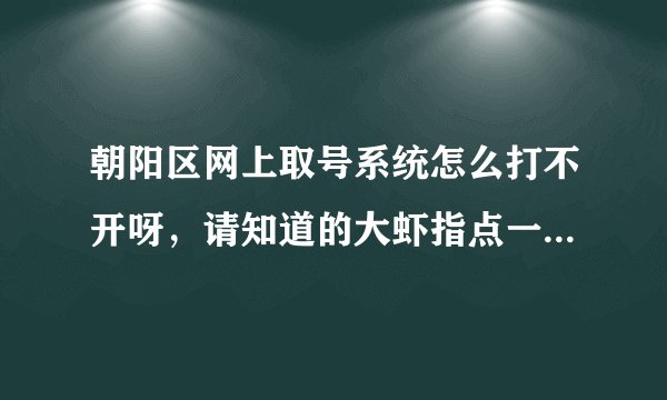 朝阳区网上取号系统怎么打不开呀，请知道的大虾指点一下下，谢谢